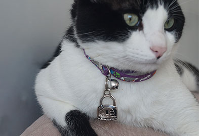 Identificador Llavero Handy